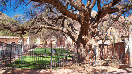 Scenic Purmamarca village streetsの写真素材