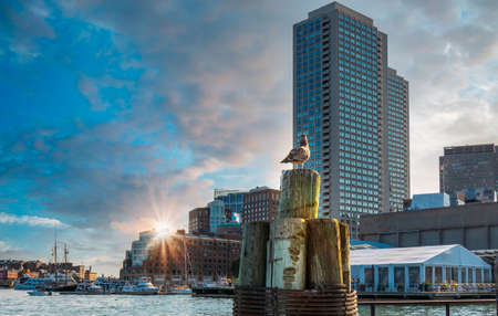 Scenic Boston Harbor and city views.の写真素材