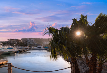 Mexico, marina and yacht club in Cabo San Lucas, Los Cabos, departure point to El Arco and beaches.