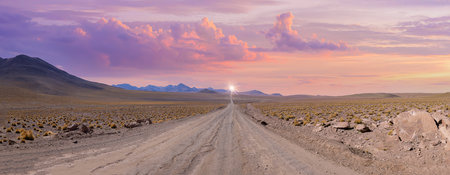 Chile, San Pedro de Atacama, Tatio Geysers in Atacama Desert.の写真素材