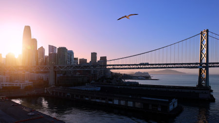 Panoramic San Francisco financial district skyline in city downtown with Oakland Bay Bridge.の写真素材
