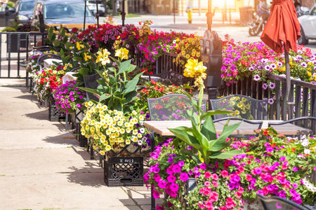 Red brick city hall with a clock tower in the scenic historic center in Stratford, Ontario .の写真素材
