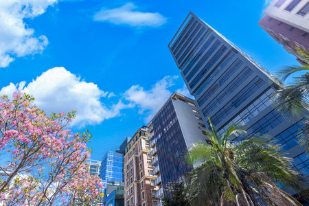 Quito, Ecuador. Carolina Park modern architecture in Quito central business districtの写真素材