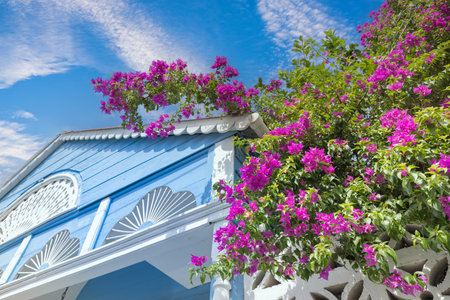 Dominican Republic, colorful colonial streets of Puerto Plata in historic city center.の写真素材