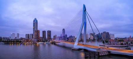 Panoramic view of Erasmus Erasmusbrug bridge in Rotterdam . Financial business district skyline.の写真素材