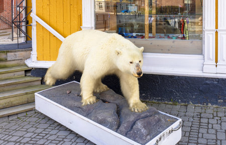 Norway, Tromso, famous tourist travel destination known for northern lights aurora borealis viewing.の写真素材