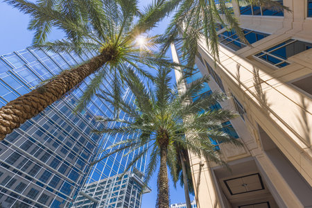 Florida, Fort Lauderdale, Las Olas Boulevard. Downtown financial district and city skyline.の写真素材