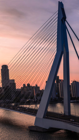 Panoramic view of Erasmus Erasmusbrug bridge in Rotterdam . Financial business district skyline.
