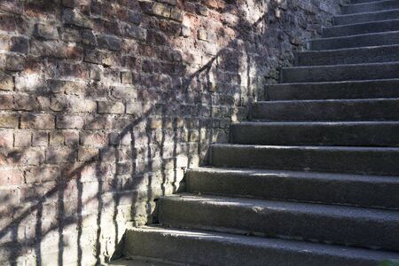 brick stairs in a park