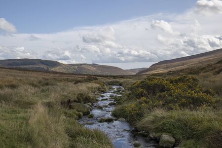 landscape of a green valley traveled by a river of fresh water
