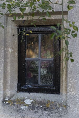 wooden frame window on stone facade and vine plants