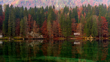 Autumn foliage in Fusine lakes natural park, Friuli Italyの写真素材