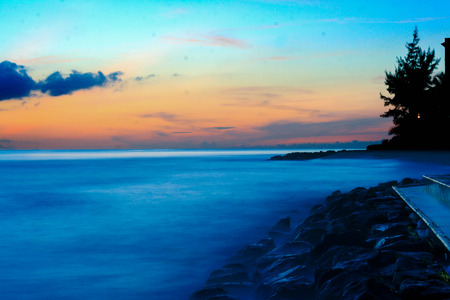 Beach Sunset, Pine Trees, Foggy Sea, Wet Rocks,の写真素材