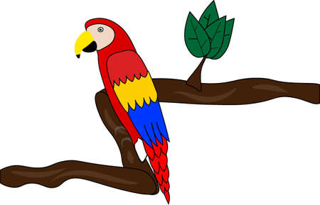 parrotのイラスト素材