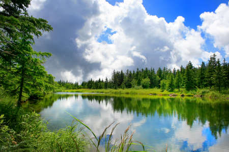 Forest, clouds end mountain lakeの写真素材