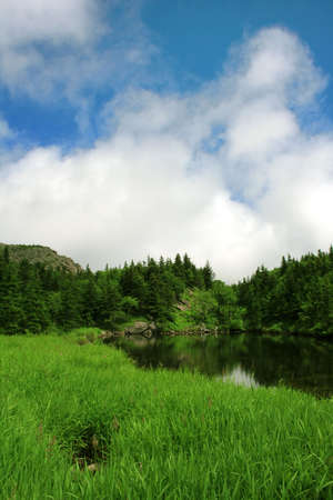 blue mountain lake with coniferous forestの写真素材