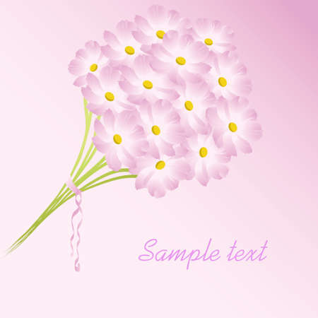 Bouquet from pink chamomiles illustrationのイラスト素材