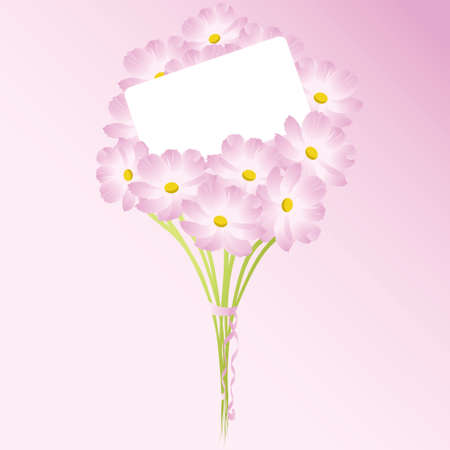 Bouquet of pink chamomiles vector illustration with a letter of congratulationsのイラスト素材