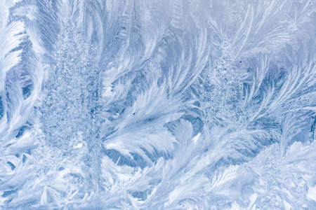 Frosty pattern on window in winter seasonの写真素材