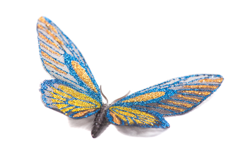 Butterfly decorative blue and yellow isolated on a white backgroundの写真素材