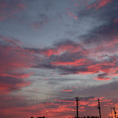 Raddish sunsetの写真素材