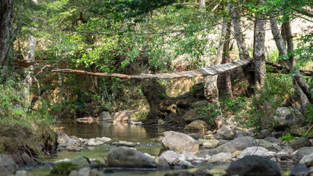 Suspension bridge on El Encuentro Park, Chiapas, Mexico