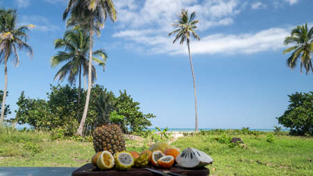 Tropical fruits on paradise landscape