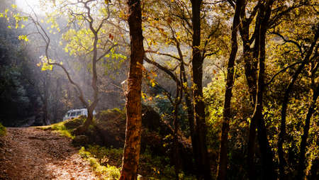 Jilotepec, Mexico - January 17th, 2017: sunrise at Jilotepec campsite and climbing spotのeditorial素材