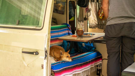 Cute jack russell terrier dog sleeping in a couch inside a vintage camper van.のeditorial素材