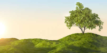 3d rendering of a green field and treeの写真素材
