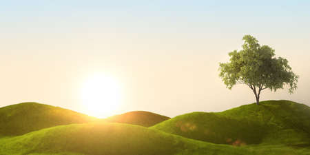 3d rendering of a green field and treeの写真素材