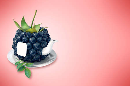 Blackberry tea cup. Healthy food. Blackberry drinkの写真素材