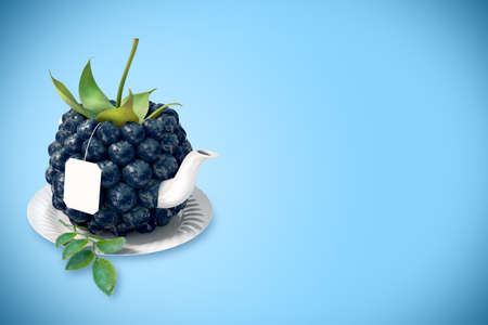 Blackberry tea cup. Healthy food. Blackberry drinkの写真素材