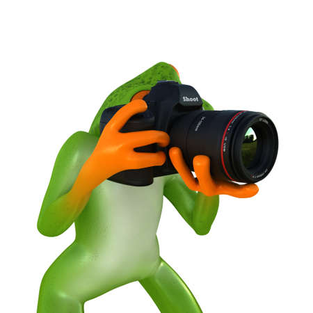 Tropical frog posing with a camera, isolated on white backgroundの写真素材