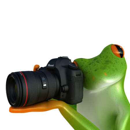 Tropical frog posing with a camera, isolated on white backgroundの写真素材