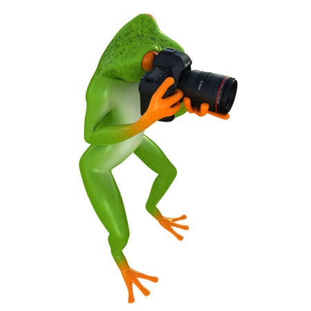Tropical frog posing with a camera, isolated on white backgroundの写真素材