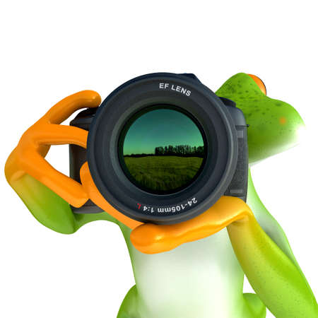 Tropical frog posing with a camera, isolated on white backgroundの写真素材