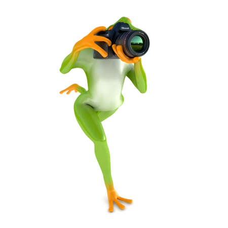 Tropical frog posing with a camera, isolated on white backgroundの写真素材
