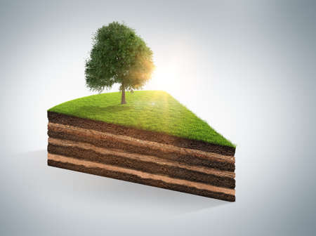 3d illustration of cross section of ground with grass isolated on white. 3D renderingの写真素材