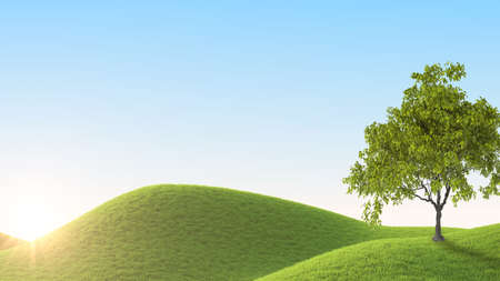 Perfect summer green grass field. 3D renderingの写真素材