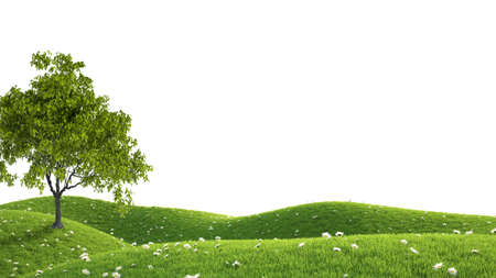 Perfect summer green grass field. 3D renderingの写真素材