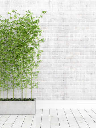 Beautiful modern empty room interior with plant. 3D renderingの写真素材