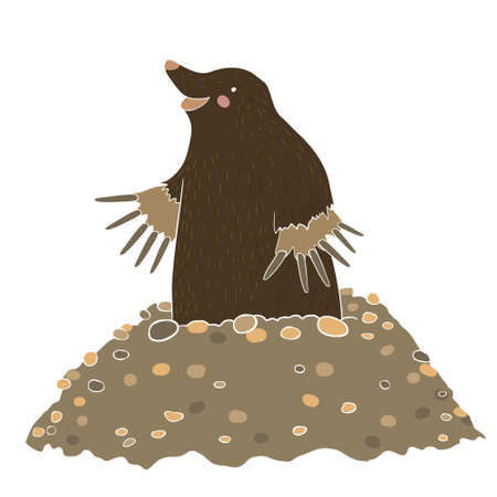 Mole gets out of the mound isolated on whiteのイラスト素材