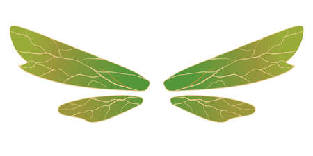Magic fairy or dragonfly green wings Vector artのイラスト素材