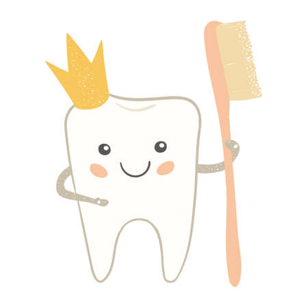 Vector Cartoon cute tooth with brush and crown.のイラスト素材