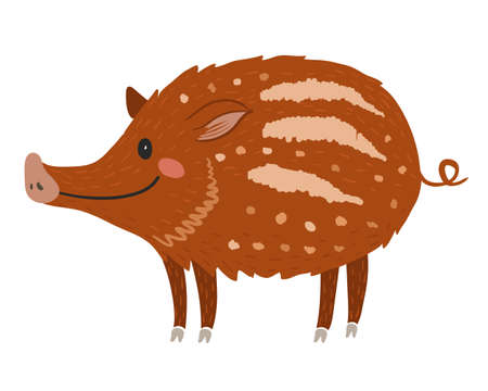 Cute baby animal forest piglet, vector wild boarのイラスト素材