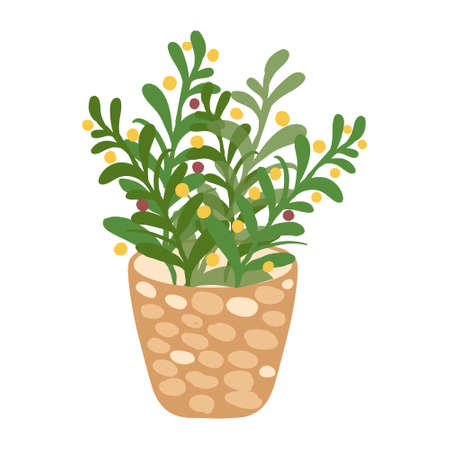Home plant in flowerpot Vector isolated on whiteのイラスト素材