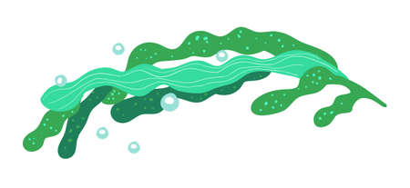 Vector algae isolated on a white background