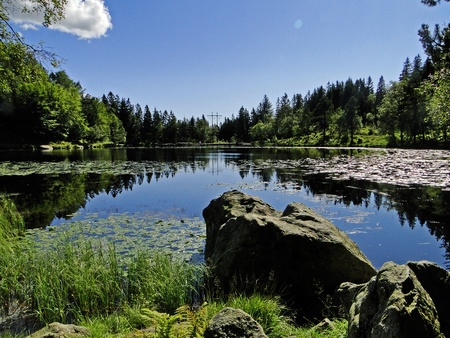 Meer in het bosの写真素材