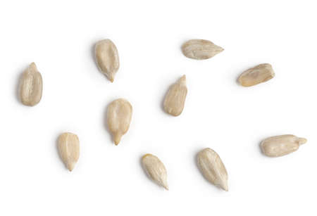 Heap of Sunflower peeled seed background. Agriculture fruit of the sunflowerの写真素材